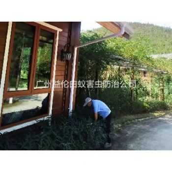 從化（huà）農莊民宿消滅老鼠蟲害