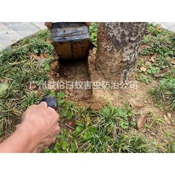 花都（dōu）芙蓉鎮度假村防治白蟻