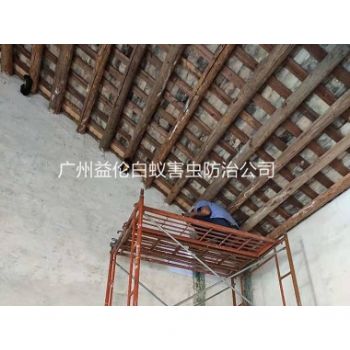 黃埔祠堂房屋白蟻防（fáng）治工程