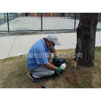 廣（guǎng）州（zhōu）中學防治紅火蟻