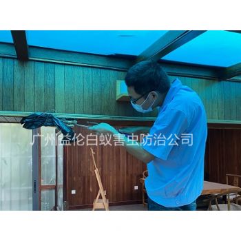 海珠區上門治白蟻危害