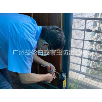 越秀房屋住宅白蟻滅殺（shā）