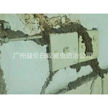天河小區防治白蟻危害