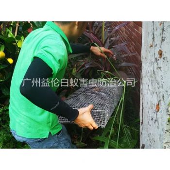 白雲除四害公司（sī）抓蛇工程