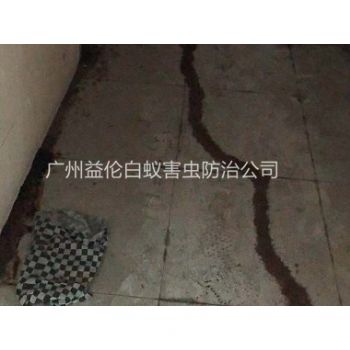 花都芙蓉白蟻（yǐ）防治（zhì）案例