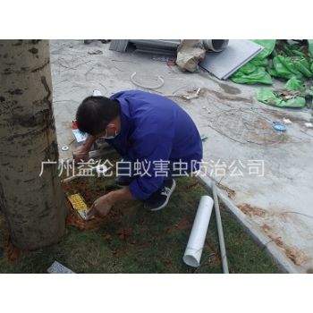 海珠上湧（yǒng）公園裝置白蟻誘殺箱