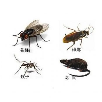 四害消殺（shā）工程（chéng）