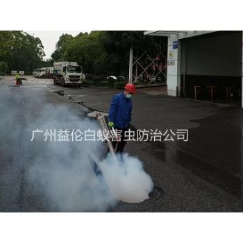 芳村街道消殺蟑螂（láng）蚊蠅
