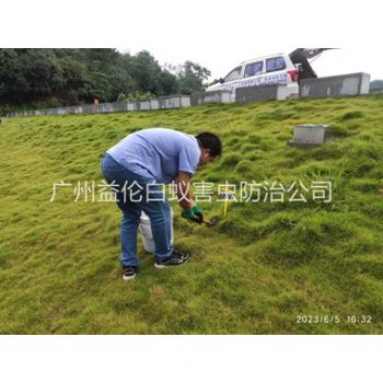 廣州（zhōu）堤壩有害蟻類（lèi）防控