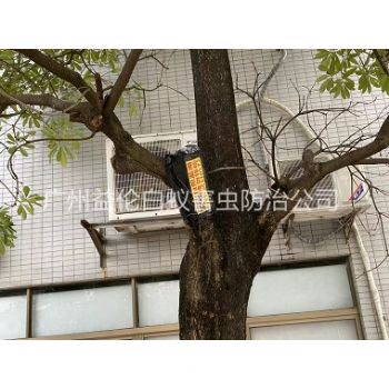 廣州園林白蟻防治（zhì）