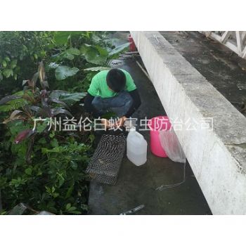 白雲蟲控站進行捕蛇