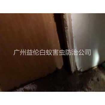 花都倉庫蟻害（hài）防治