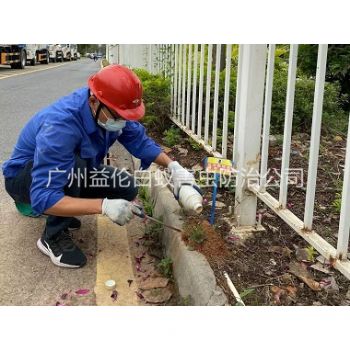 南沙紅火蟻防治（zhì）工程