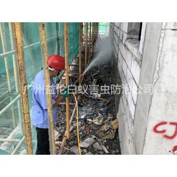 花都建築白蟻預防工程