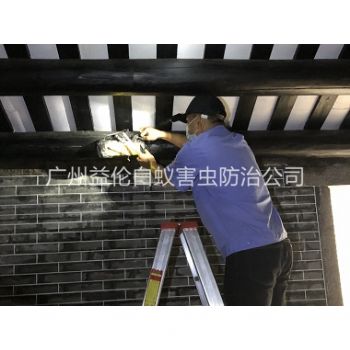 廣州祠（cí）堂殺滅白（bái）蟻工程