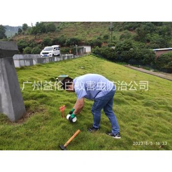 白雲水利工（gōng）程紅火蟻防治