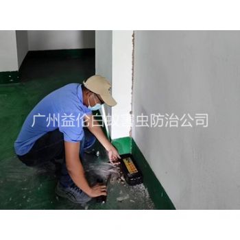 越秀（xiù）電機房滅殺白蟻工程