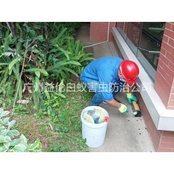 番禺施藥滅鼠工程（chéng）