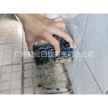 從化誘殺白蟻危害工程