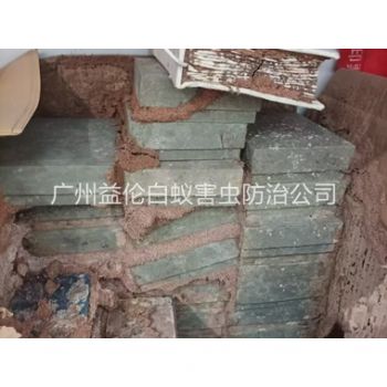 白雲區防治白蟻危害（hài）工程