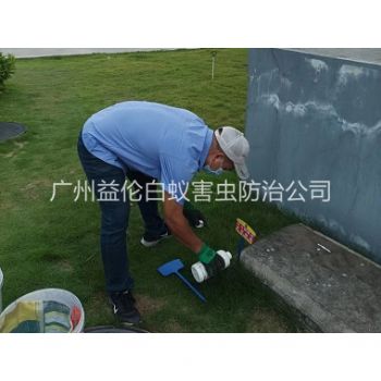 番禺滅除紅火蟻工程